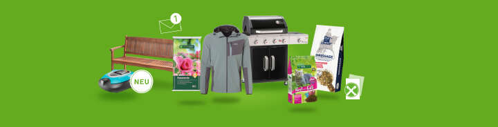 banner newsletter landingpage